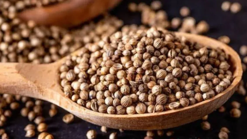 Health Tips: ధనియాలతో శరీరంలోని చెడు కొలెస్ట్రాల్‌ కు చెక్‌ పెట్టేద్దామా!