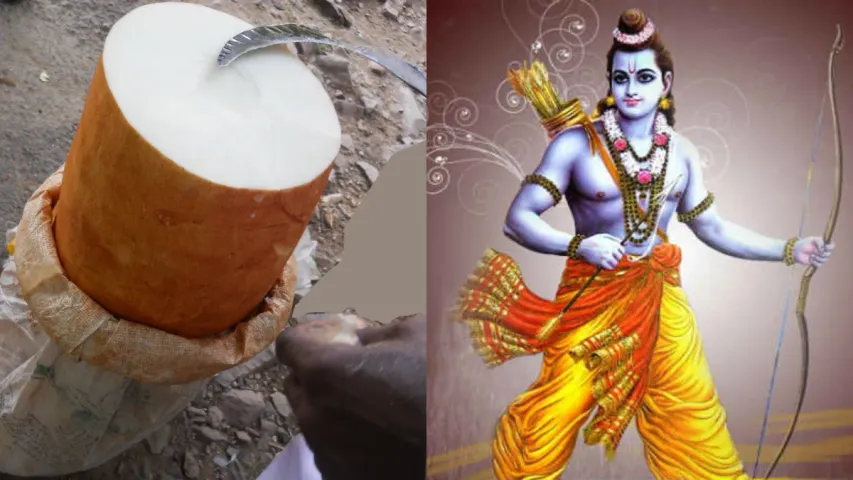 Bhuchakragadda: 14 ఏళ్ల వనవాసంలో రాముడు ఈ దుంపనే తిన్నాడా?.. అన్ని ప్రయోజనాలు ఉన్నాయా..?
