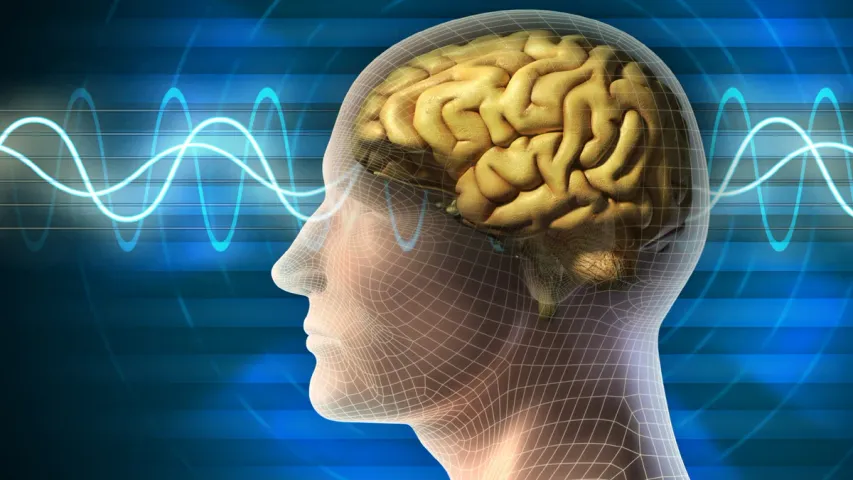 Technology: మనిషి మెదడుతో కంప్యూటర్..స్విస్ శాస్త్రవేత్తల సృష్టి