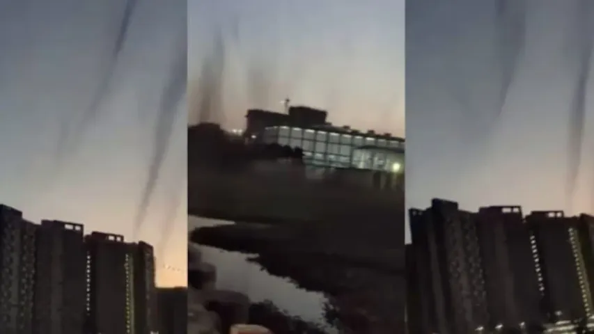 Mosquitoe Tornado: దోమల టోర్నడో.. షాకింగ్‌ వీడియో!