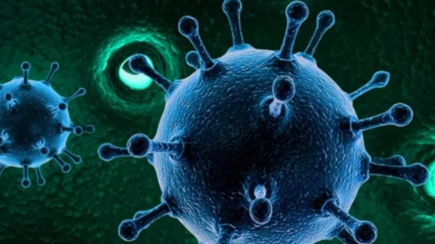 NoroVirus: అమెరికాలో వేగంగా వ్యాప్తి చెందుతున్న నోరో వైరస్.. ఎంత ప్రమాదకరమైనది..దాని లక్షణాలేంటి!