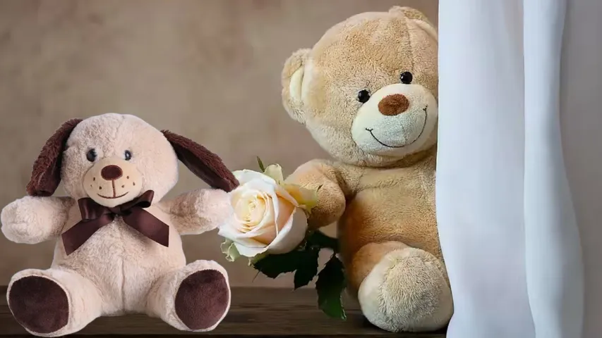 Teddy Day Special: టెడ్డీ డే అంటే ఏమిటి? ఇది ఎలా ప్రారంభం అయింది?