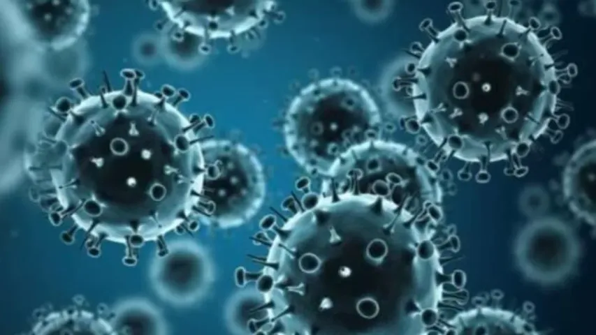 Viruses: ప్రపంచాన్ని వణికిస్తున్న వేల సంవత్సరాల నాటి 7 వైరస్‌లు