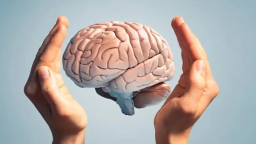 Human Brain : పెరుగుతున్న మనిషి మెదడు సైజు..  పరిశోధనలో కీలక విషయాలు వెల్లడి