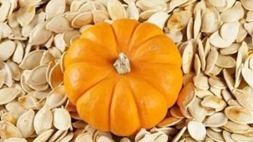 Pumpkin seeds