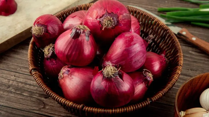 Onion Benefits: వేసవిలో రోజూ ఉల్లిపాయ తినడం మంచిదేనా?