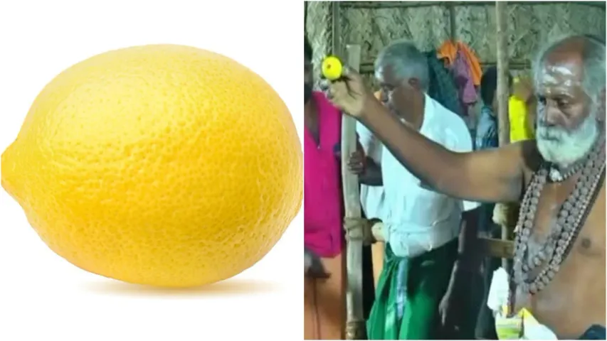 Lemon Auction: రూ.35 వేలు పలికిన నిమ్మకాయ.. ఎందుకో తెలిస్తే షాక్ అవుతారు!