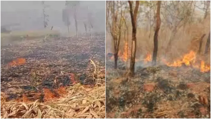 Fire accident: బయ్యారంలో భారీ అగ్ని ప్రమాదం.. కాలి బూడిదైన మొక్కజొన్న పంట!