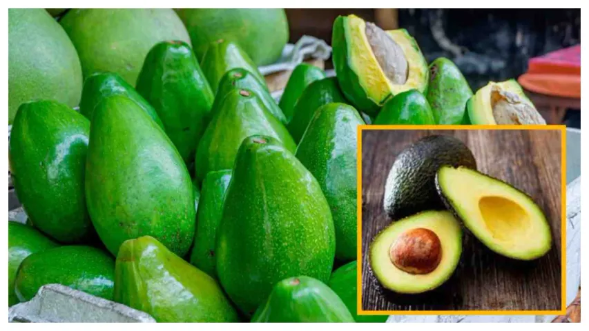 Health:  ఈ ఆహారం తీసుకుంటే బరువు తగ్గి అందంగా ఉంటారు!