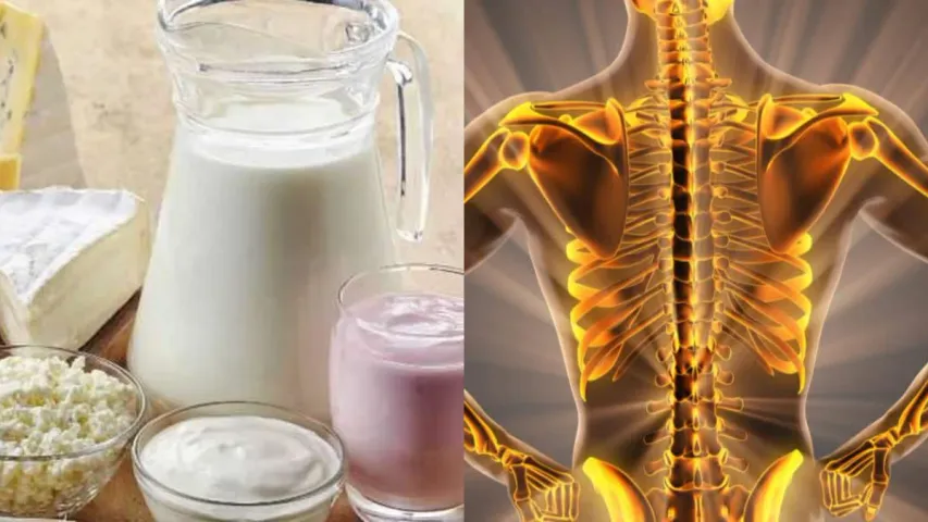 High Calcium Foods: ఈ ఫుడ్స్ పది గంటల్లో మీ ఎముకల్ని స్ట్రాంగ్ చేస్తాయి.. హై కాల్షియం అందించే ఆహరం ఇదే!