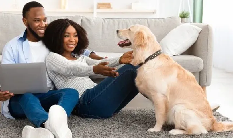 PET CARE: పెంపుడు జంతువుల సంరక్షణకు చిట్కాలు!