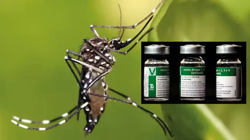 Vaccine for Dengue: డెంగీకి సింగిల్ డోస్ టీకా.. త్వరలోనే.. 