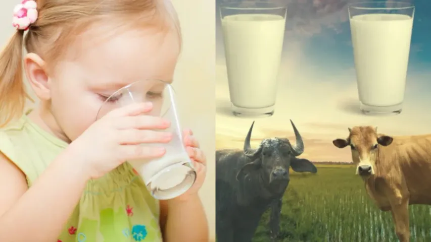 Children Milk: ఏ వయసు పిల్లలకు ఏ పాలు తాగించాలి..?.. నిపుణులు చెబుతున్నదేంటి..?