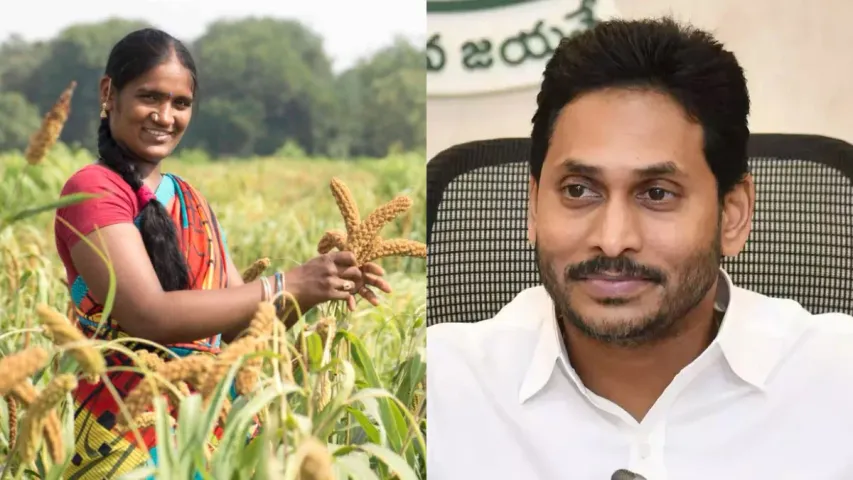 AP Farmers : రైతులకు జగన్‌ అదిరిపోయే గిఫ్ట్‌.. ఇవాళ అన్నదాతల ఖాతాలలో డబ్బులు జమ!