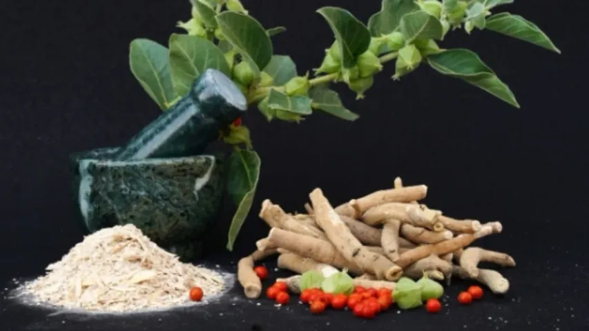 Health Tips : పొట్ట చుట్టూ పేరుకుపోయిన కొవ్వుని ఈ వేరుతో కరిగించేద్దామా!