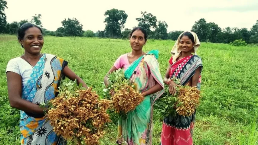 Special Scheme For Women : ఉచిత శిక్షణ.. రూ.10వేల వేతనం.. మహిళలకు ఆదాయాన్ని పెంచే పథకం!