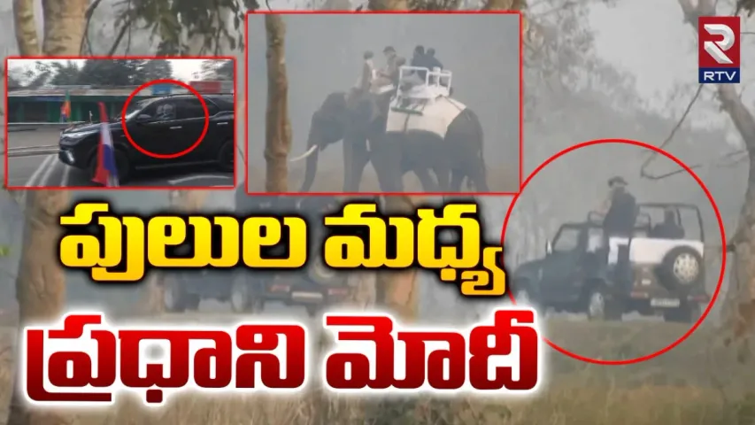 Viral Video: ఏనుగుపై ప్రధాని రయ్‌రయ్‌.. మోదీ స్వారీ మాములగా లేదుగా!