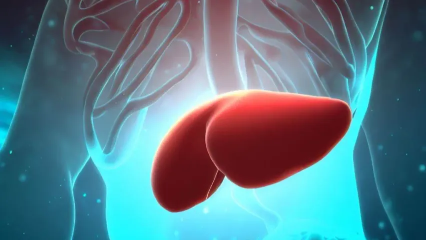 Health News: షాకింగ్‌ స్టడీ..తీపి తింటే కాలేయం కాటికే.. ఎందుకో తెలుసుకోండి!