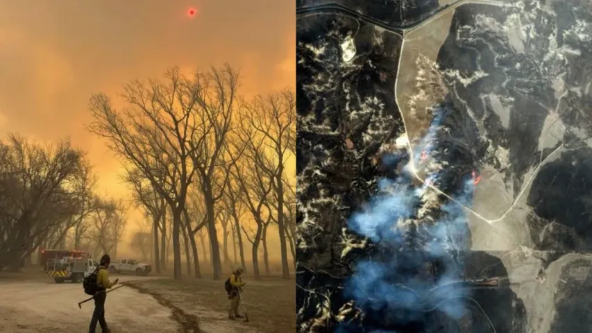 America Wild Fire : టెక్సాస్‌లో ఆగని కార్చిచ్చు.. 500కు పైగా ఇళ్లు బూడిదపాలు!