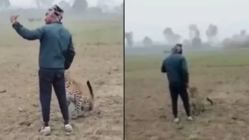 Viral Video: వీడెవడ్రా బాబూ.. చిరుతతో సెల్ఫీ దిగాడు