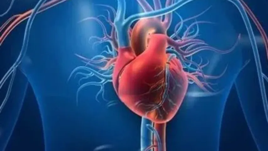 Heart: గుండె ఆరోగ్యంగా ఉండాలంటే ఈ పాల ఉత్పత్తులు మానుకోండి