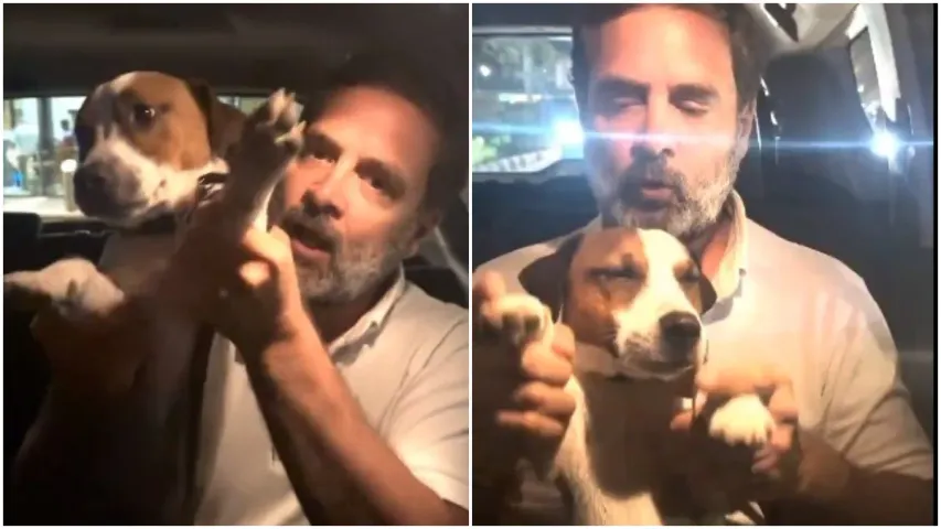 Rahul gandhi: చోటుతో రాహుల్ గాంధీ సరదా.. ఫన్నీ వీడియో వైరల్!