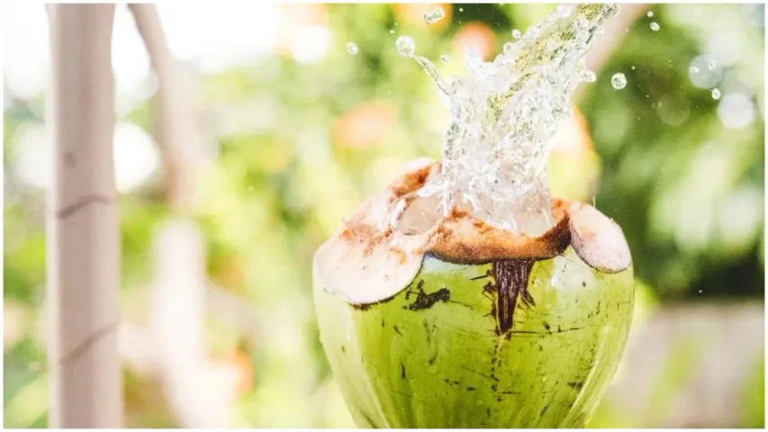 Coconut Water: కొబ్బరి బోండాం కొనేటప్పుడు ఈ టిప్స్ పాటిస్తే.. మీ డబ్బులకు న్యాయం జరిగినట్లే..!