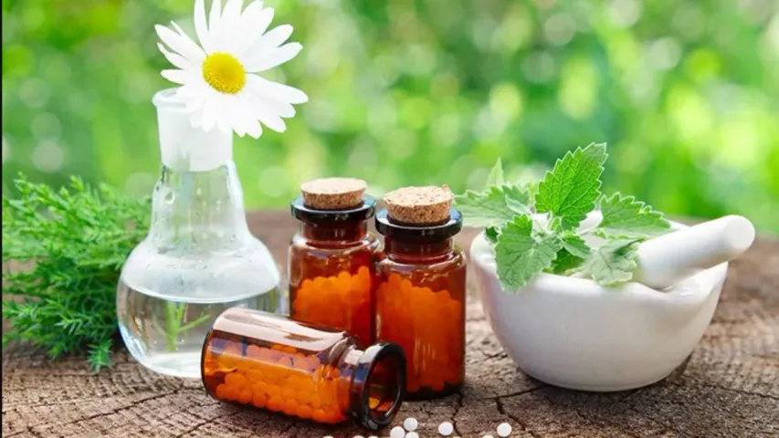 Homeopathy : జబ్బును కూకటివేళ్లతో పెకళించడం.. వరల్డ్ హోమియోపతి డే!