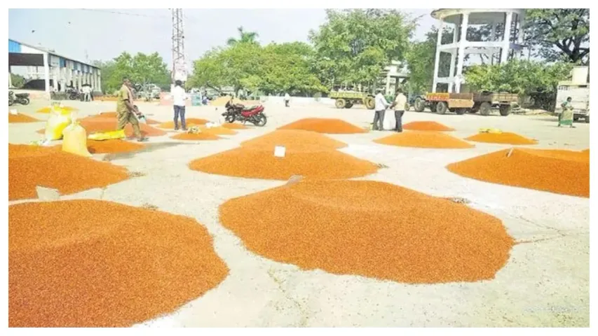 Central Goverment: కందులు పండించే రైతులకు కేంద్రం బంపర్ ఆఫర్!