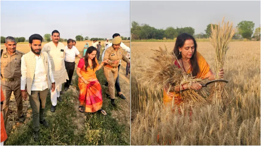 Hema Malini : హీరోయిన్ ఎన్నికల చిత్రం.. గోధుమపంట కోస్తూ.. ఓట్ల వేట!