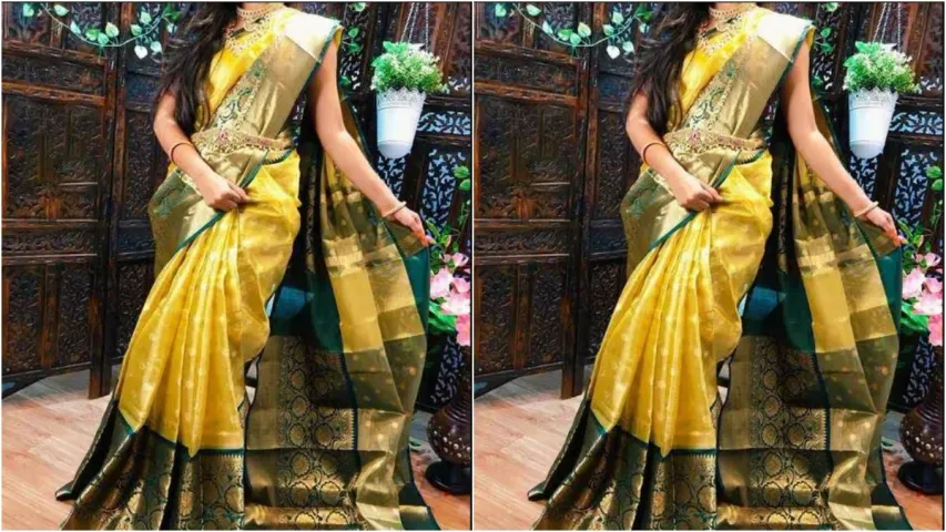 Silk Saree Hacks : సిల్క్ చీరలను భద్రపరిచే విషయంలో ఈ తప్పులు చేయకండి..!