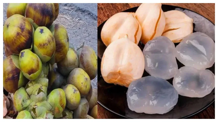 Summer: వేసవిలో తాటి ముంజలు ఎందుకు తినాలంటే!