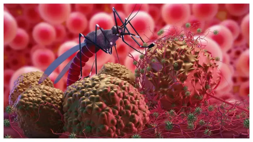 World Malaria Day 2024: మానవాళిని పీడించే మలేరియా నుంచి జాగ్రత్తపడదామిలా!