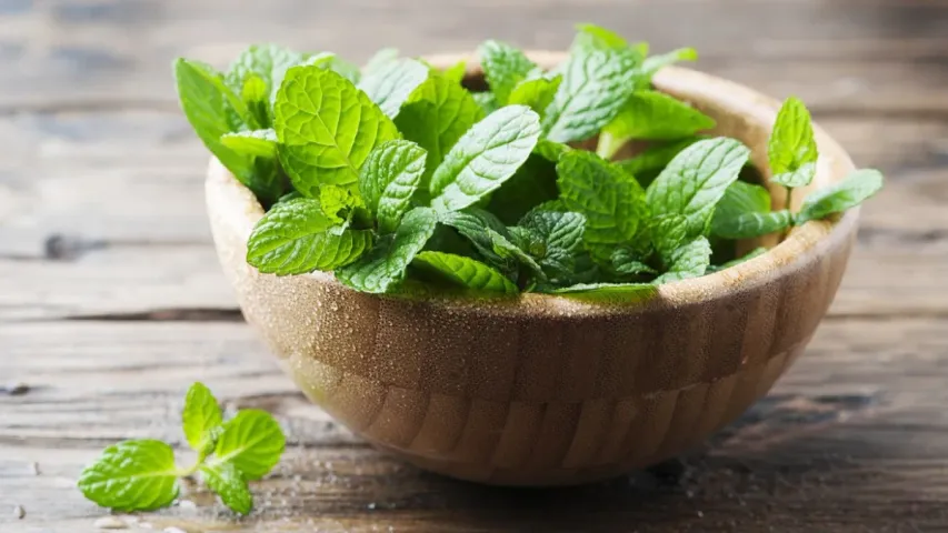 Mint Leaves : పుదీనా ఆకులను లైట్ తీసుకుంటున్నారా..? అయితే శరీరంలో సమస్యలు తప్పవు..!