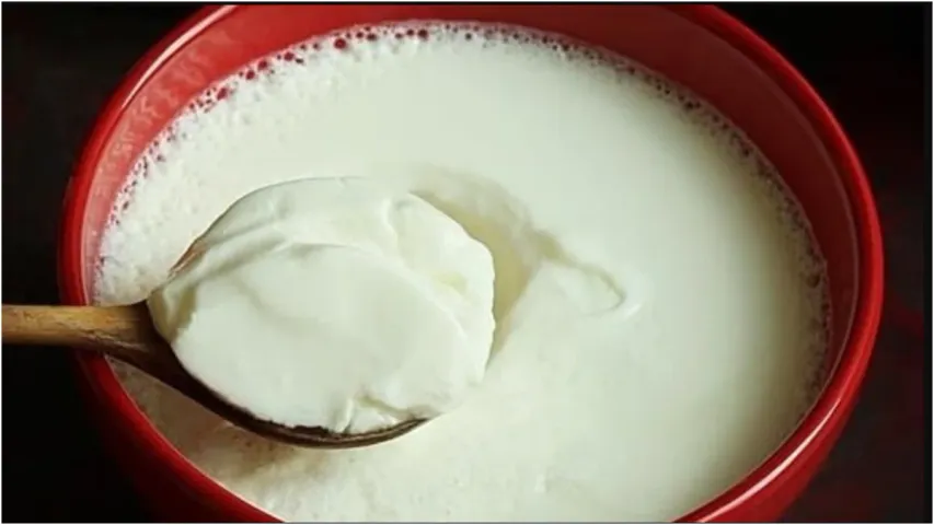 Kitchen Hacks: ఇంట్లో పెరుగు పుల్లగా మారిందా..? అయితే ఈ టిప్స్ మీ కోసమే