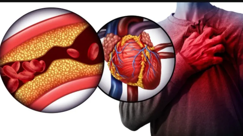 Heart Health : ఈ ఐదు విత్తనాలతో గుండె జబ్బుల ప్రమాదానికి చెక్..!