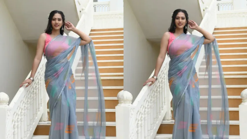 Fashion Tips : స్లిమ్‌గా కనిపించాలంటే ఈ ఫ్యాబ్రిక్ చీరలు ధరించండి