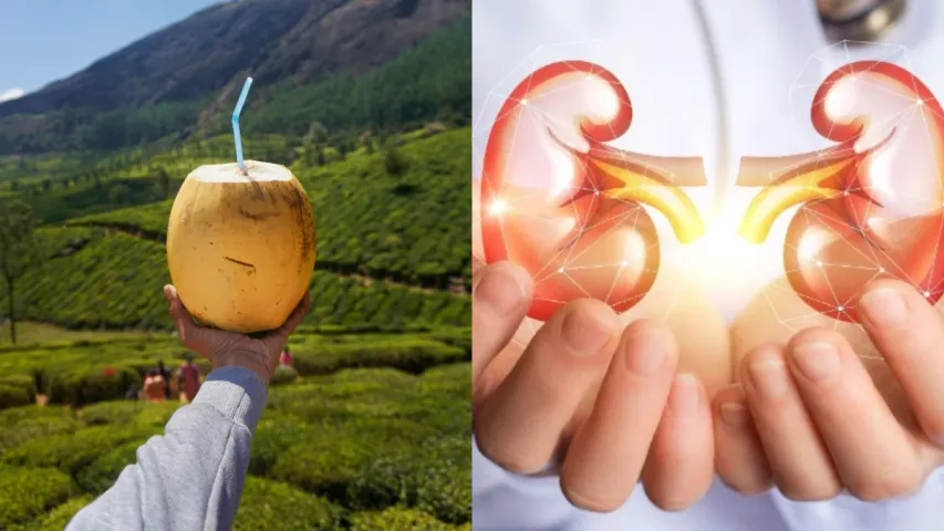 Coconut Water: ఈ సమస్యలు ఉన్నవారు పొరపాటున కూడా కొబ్బరి నీళ్లు తాగొద్దు