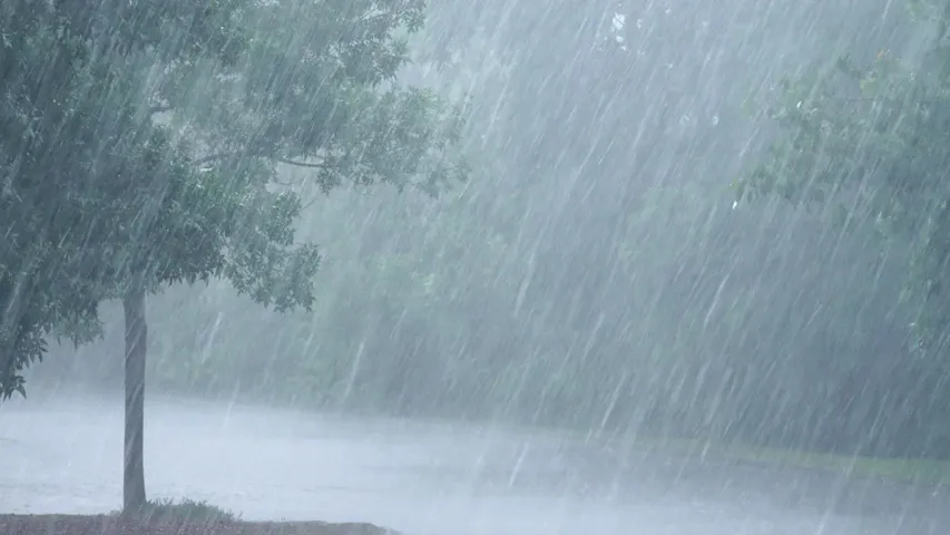 Weather Alert : రాగల రెండ్రోజుల పాటు వర్షాలు..