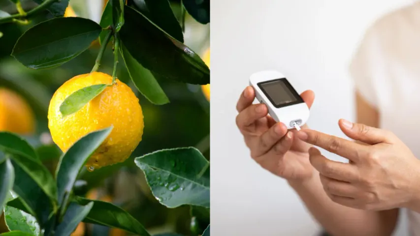 Sugar Levels: షుగర్ లెవెల్స్‌ తగ్గాలంటే నిమ్మకాయను ఇలా వాడండి
