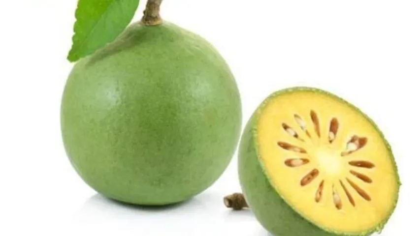Wood Apple: కలప ఆపిల్ ఎప్పుడైనా తిన్నారా.? ఈ పండు శరీరానికి అద్భుత