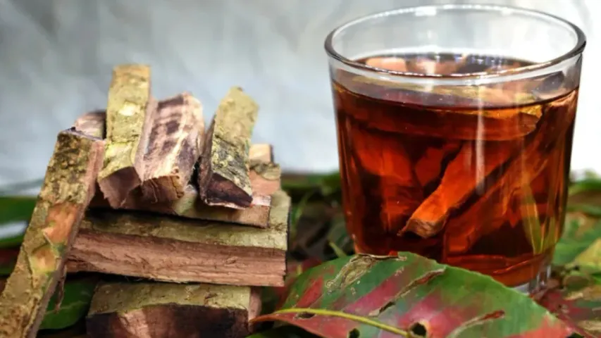 Health Tips : గుండె జబ్బులకు ఎంతగానో మేలు చేసే అర్జున బెరడు.. ఎలా తీసుకోవాలంటే!