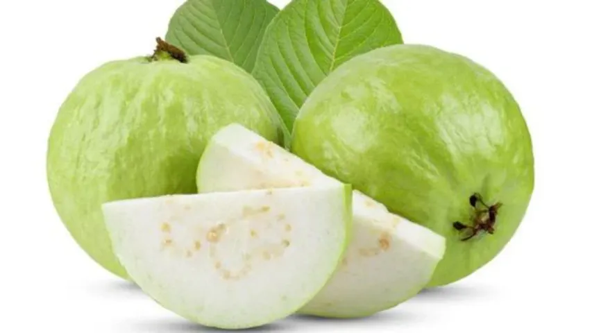 Guava: వయాగ్ర వద్దు.. జామ ముద్దు.. శృంగారానికి సహజ మందు!