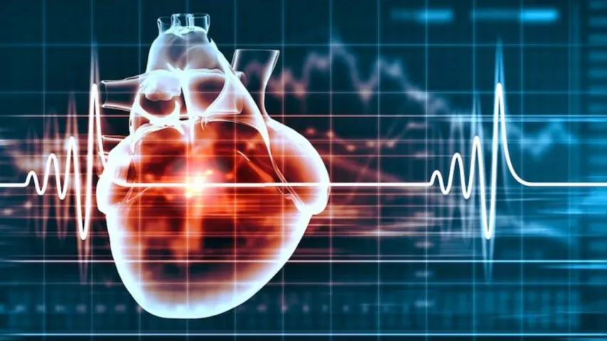 Heart Health : మీ గుండె ఆరోగ్యంగా ఉందా లేదా? ఎలా తెలుసుకోవచ్చు?
