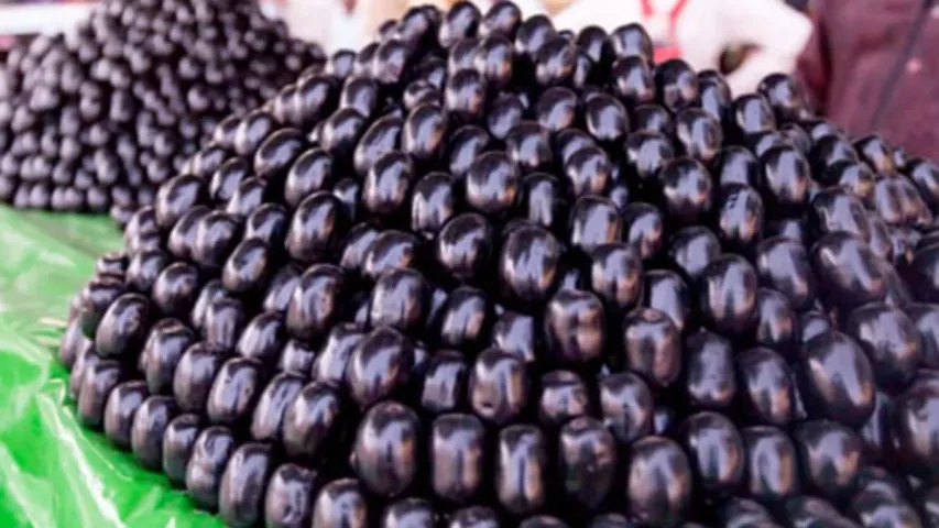 Health Tips : డయాబెటిస్‌ ఉన్న వారు నేరెడు పండ్లను ఇలా వాడాలి... ఆకుల నుంచి గింజల వరకు ప్రతి ఒక్కటి !