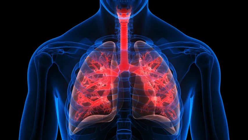 HEALTH : ఊపిరితిత్తులు దెబ్బతినే ప్రమాదం ఎవరికి ఎక్కువగా ఉంటుంది?
