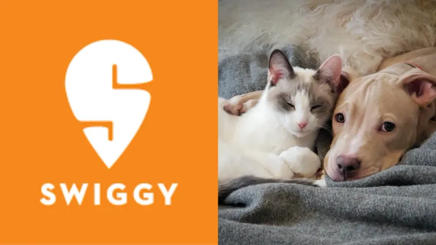Swiggy: పెట్ లవర్స్ కు 'స్విగ్గీ' గుడ్ న్యూస్.. ఇలా చేస్తే చాలు..!
