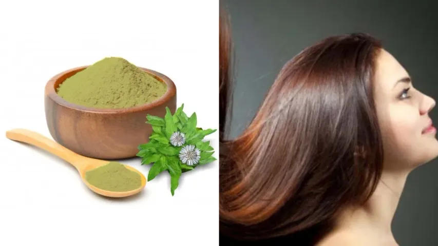 Hair Tips: జుట్టును మెరిపించే భృంగరాజ్‌ పౌడర్‌..ఎలా వాడాలో తెలుసా?