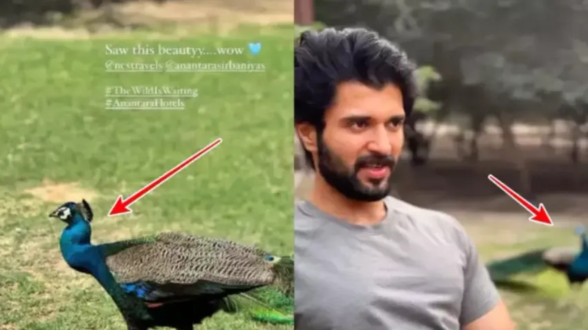 Vijay Devarakonda: మళ్లీ దొరికిపోయిన విజయ్‌-రష్మిక.. ఇదిగో ప్రూఫ్‌!