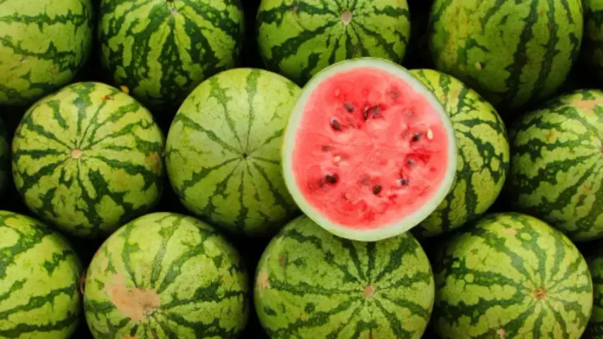 WaterMelon: మధుమేహం ఉన్నవారు పుచ్చ కాయ తినొచ్చా... తింటే ఎంత మోతాదులో తీసుకోవచ్చు!